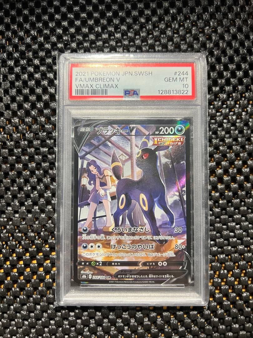 ブラッキーV CSR PSA10 PSA10鑑定済〕ブラッキーV【CSR】{244/184}