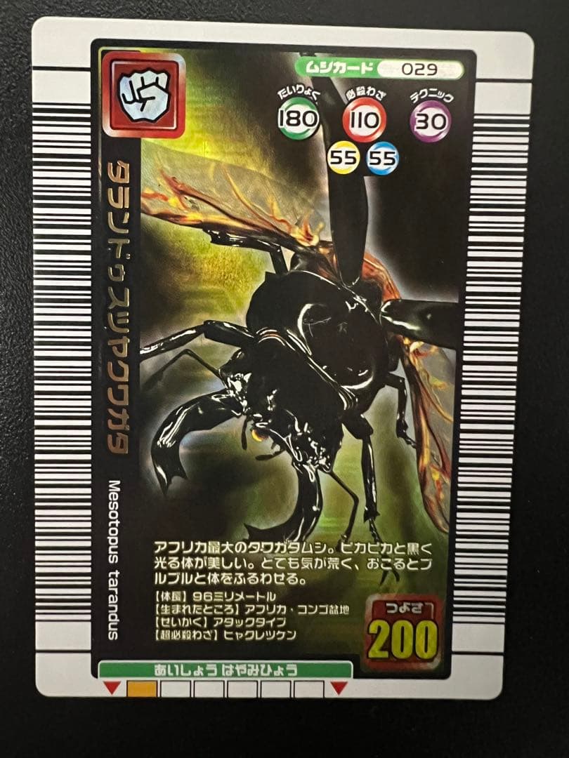美品】ムシキング 【2005夏限定デザイン】 タランドゥスツヤクワガタ