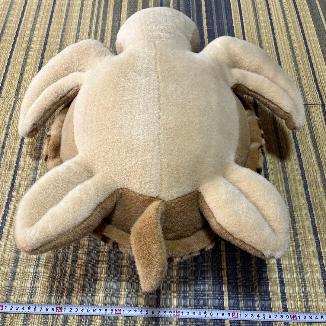 ☆Earth Wind☆セキグチ製ぬいぐるみ2個超希少 かめ カメ 亀 ウミガメ