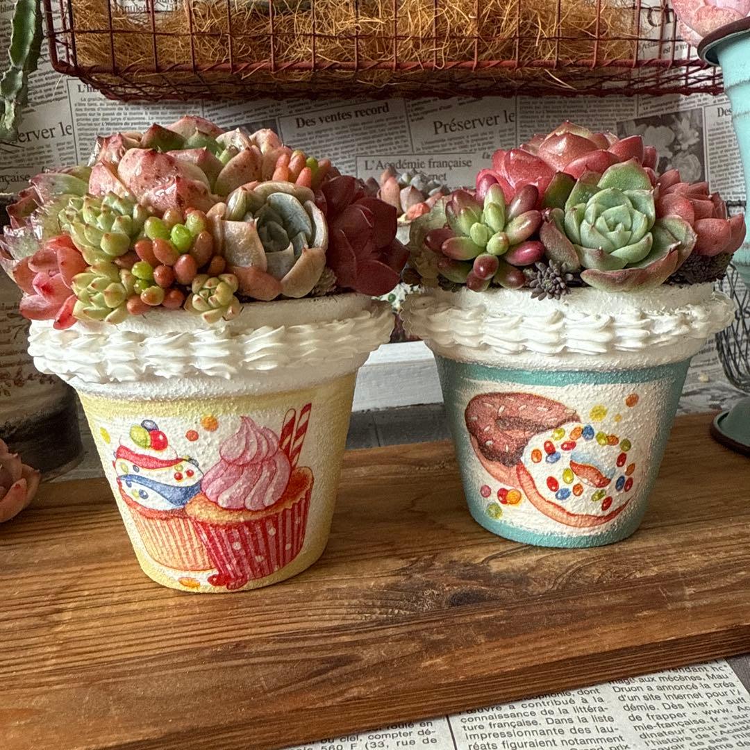 ❤︎sweets whip❤︎ そのまま飾れる多肉植物の寄せ植えリメ鉢ちまリメ