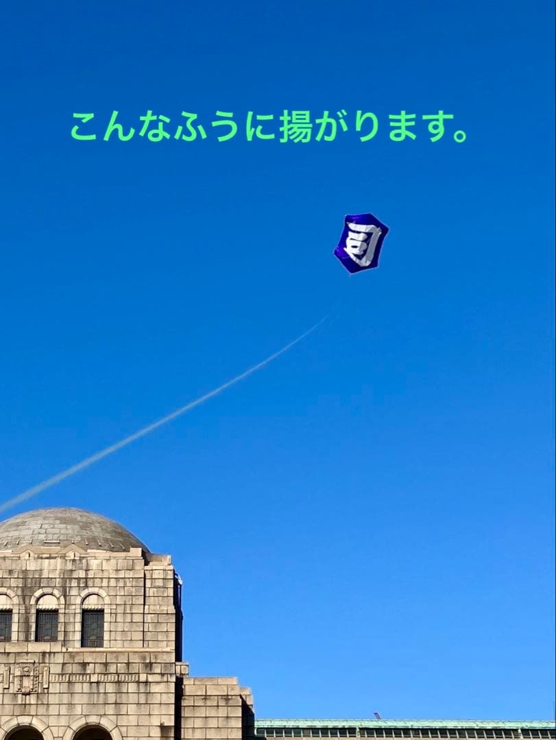 カイト 和凧 実際に揚がる 手描き日本の伝統六角凧 揚げ方説明書あり