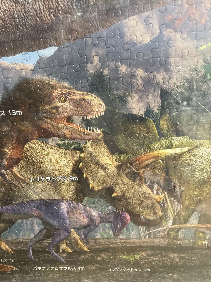 千P①恐竜ジグソーパズル プテラノドン他17体 アルミ額50×74㎝完成品極