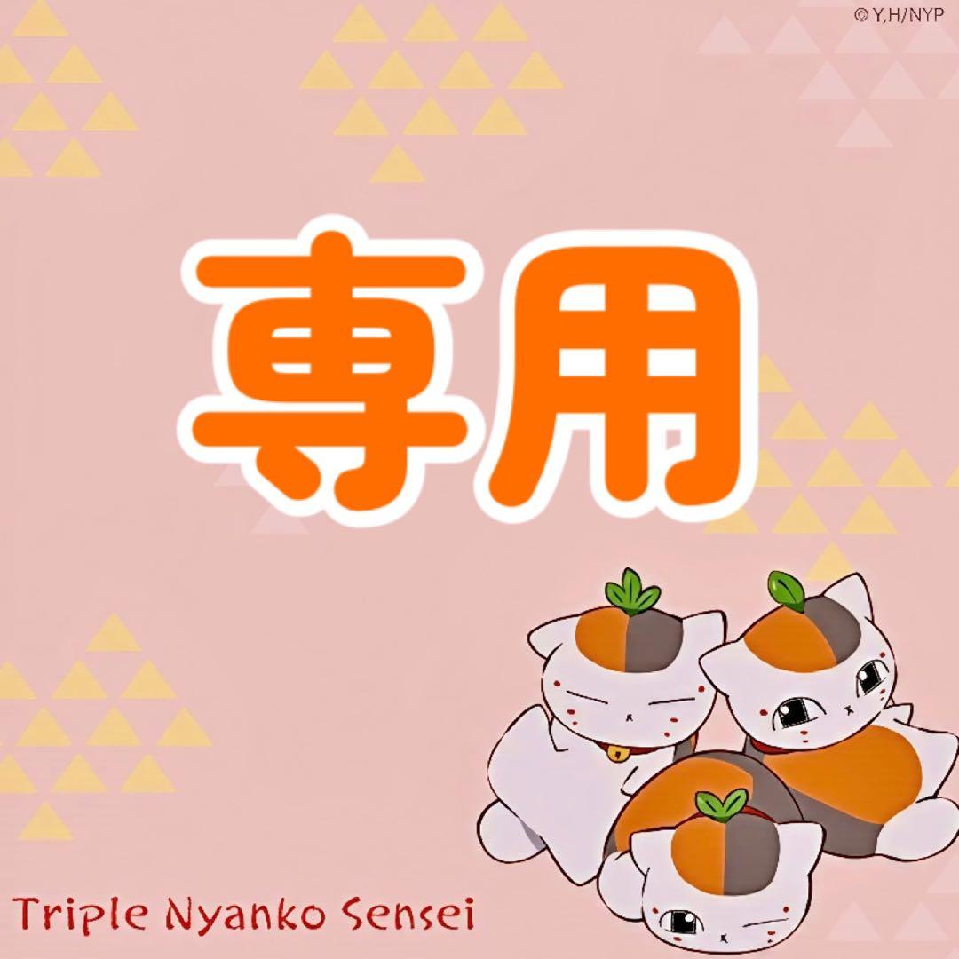 とるま様 リクエスト 3点 まとめ商品 とる様 リクエスト 3点 まとめ商品 - メルカリ