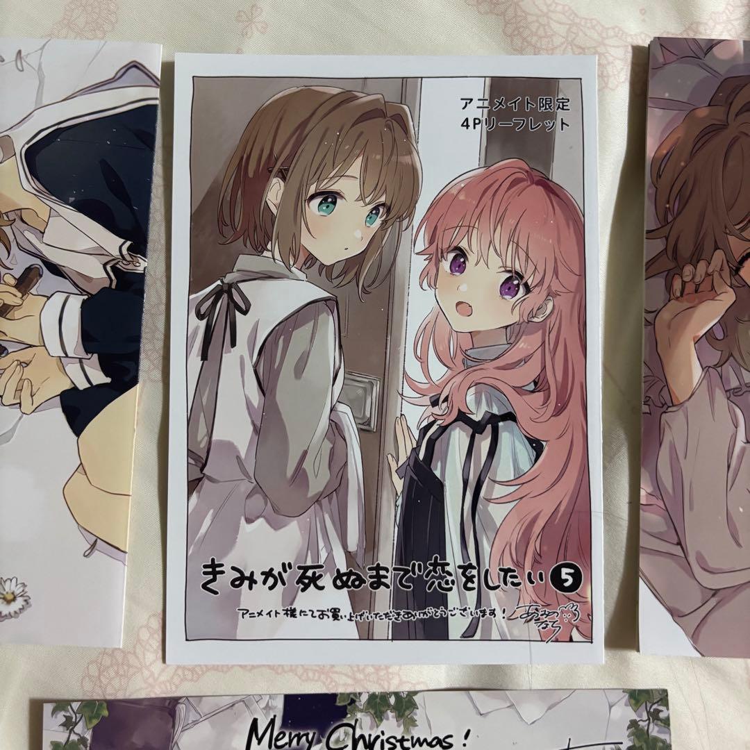 きみが死ぬまで恋をしたい アニメイト 特典 特装版小冊子 クリスマスカード