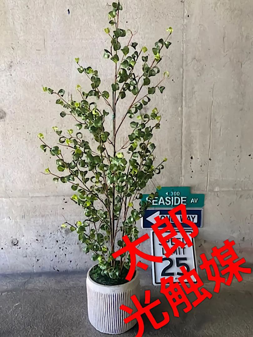 光触媒 人工観葉植物 ウォールグリーン フェイクグリーン ベンジャミン