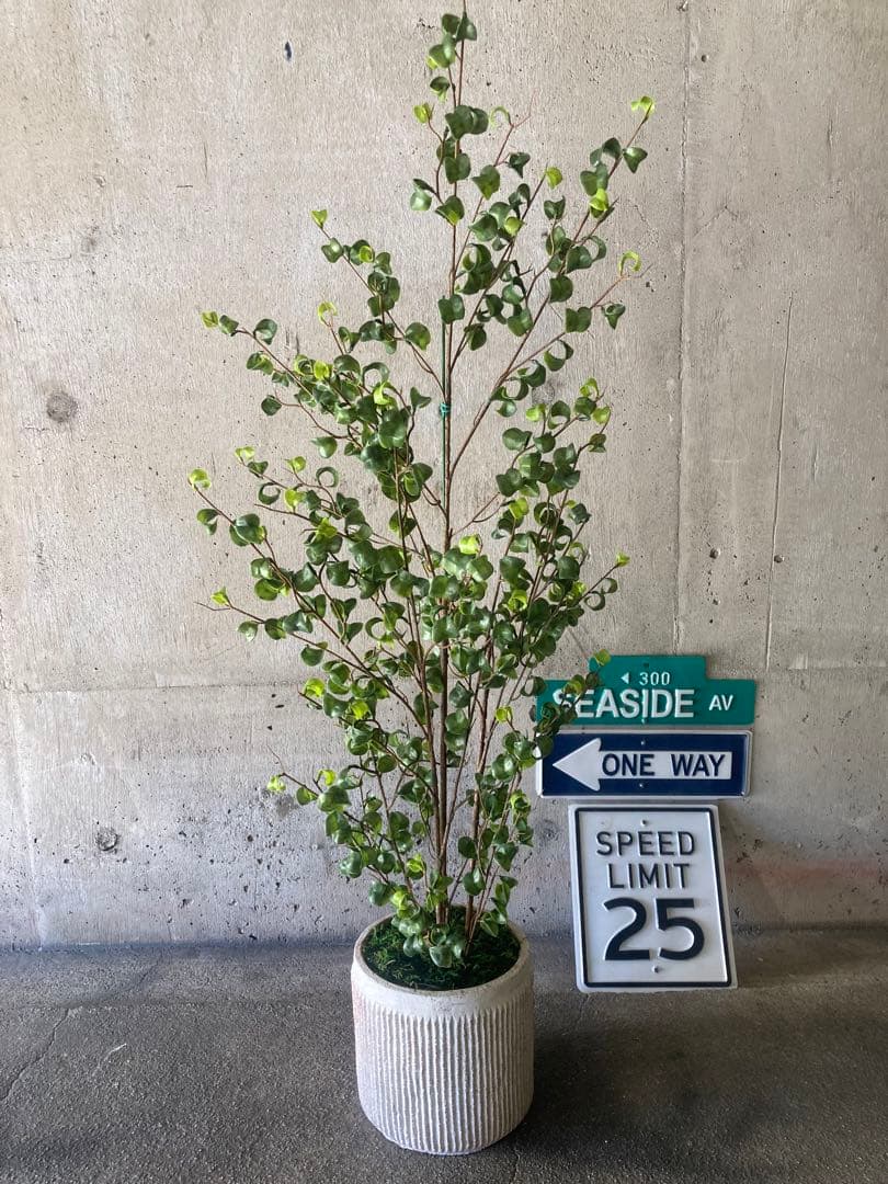 光触媒 人工観葉植物 ウォールグリーン フェイクグリーン ベンジャミン