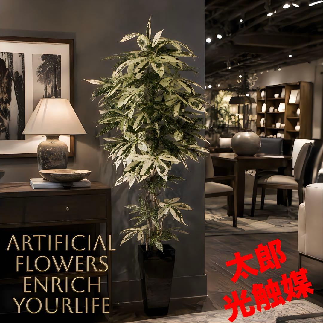 光触媒　人工観葉植物　ウォールグリーン　フェイクグリーン　斑入りパキラ175 pakirakago1.jpg