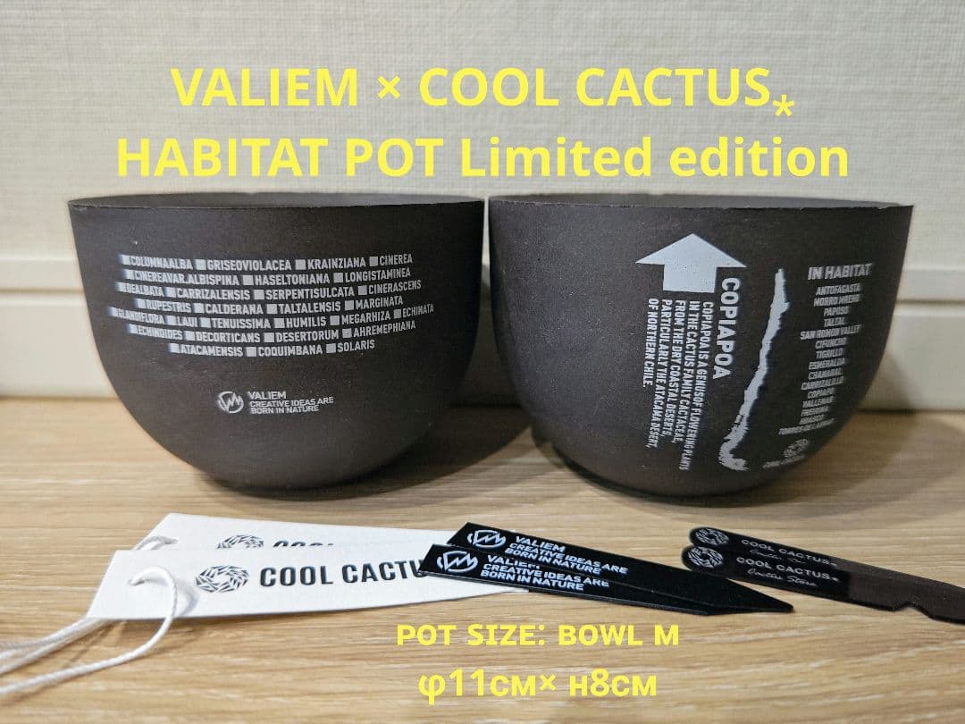 VALIEM×COOL CACTUS⁎ HABITAT限定ニ点セット バリエム - メルカリ