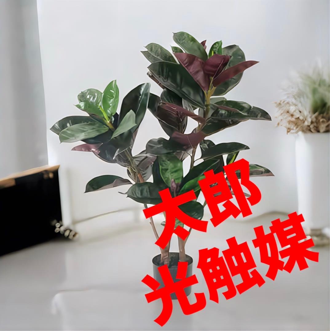 光触媒　人工観葉植物　ウォールグリーン　フェイクグリーン　フラワー　バーガンディ 光触媒 人工観葉植物 ウォールグリーン フェイク フラワー562233