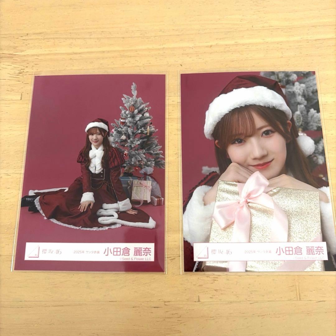 櫻坂46 小田倉麗奈 生写真 2025年 サンタ衣装 - メルカリ