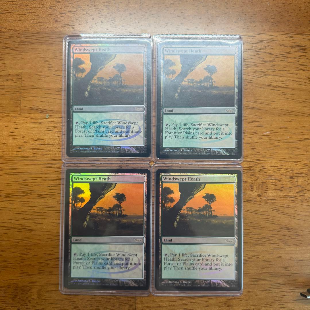 吹きさらしの荒野 judge報酬 foil 4枚セット 06101445_6666930d20ec7.jpg