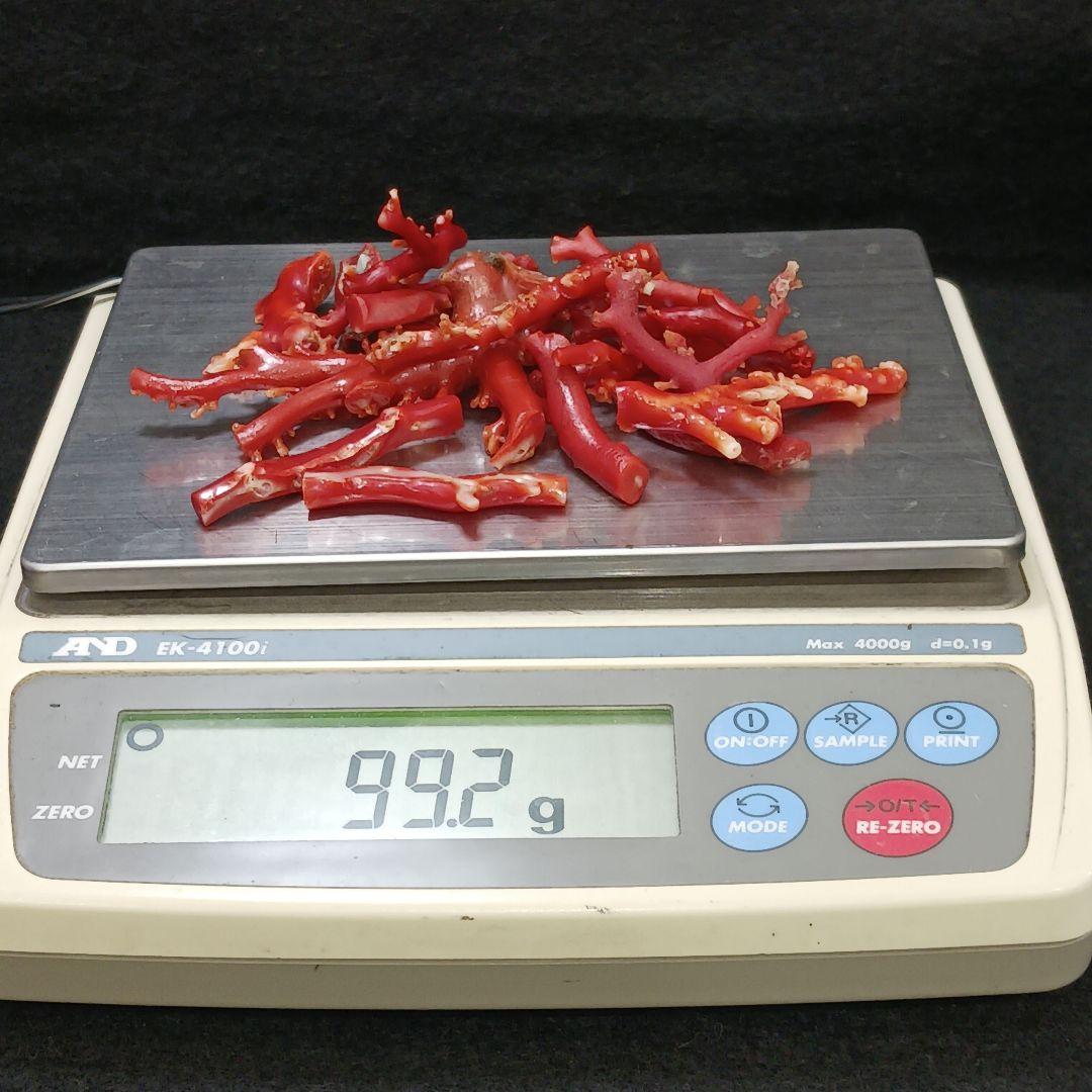 赤珊瑚 原木 枝 16点 総重量99.2g ね - メルカリ