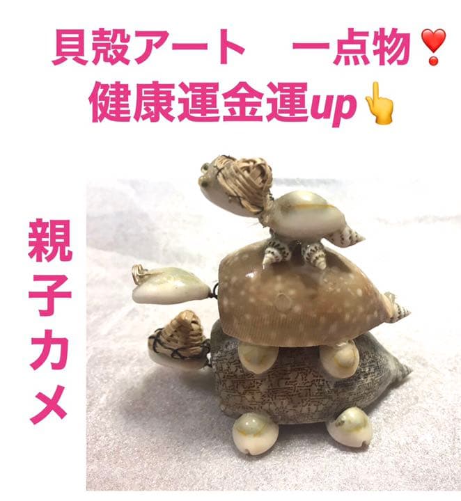 一点物❣️開運貝殻アート作品 超リアル親子カメ - メルカリ
