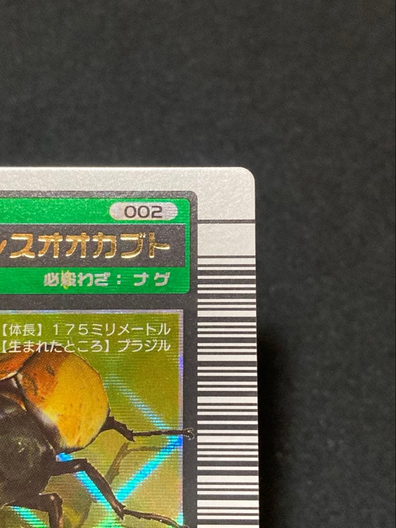 またこ様専用 ヘルクレスオオカブト2003 SPRING春 学名黒バーコード