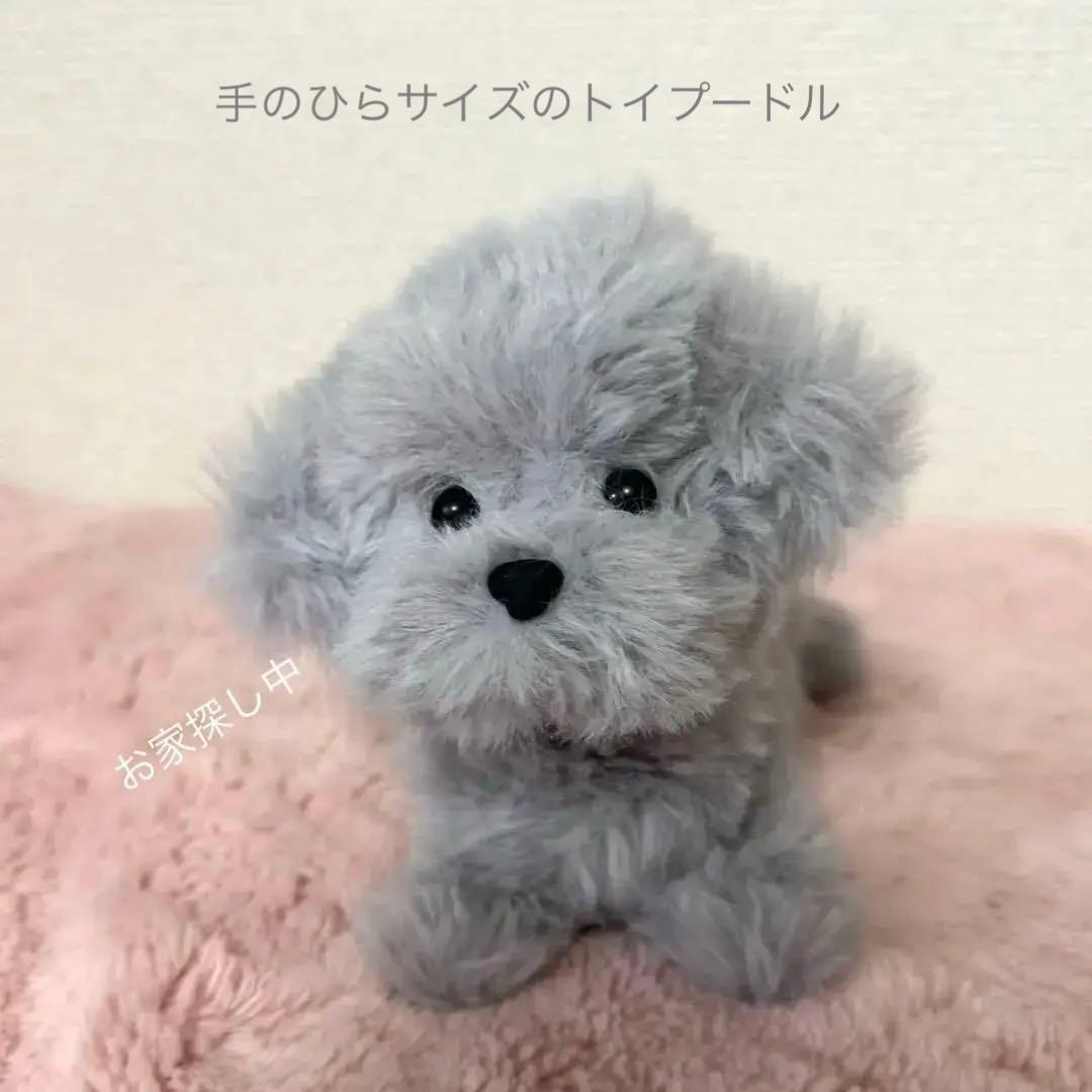 モールアート モールドール トイプードル シルバー ぬいぐるみ 犬