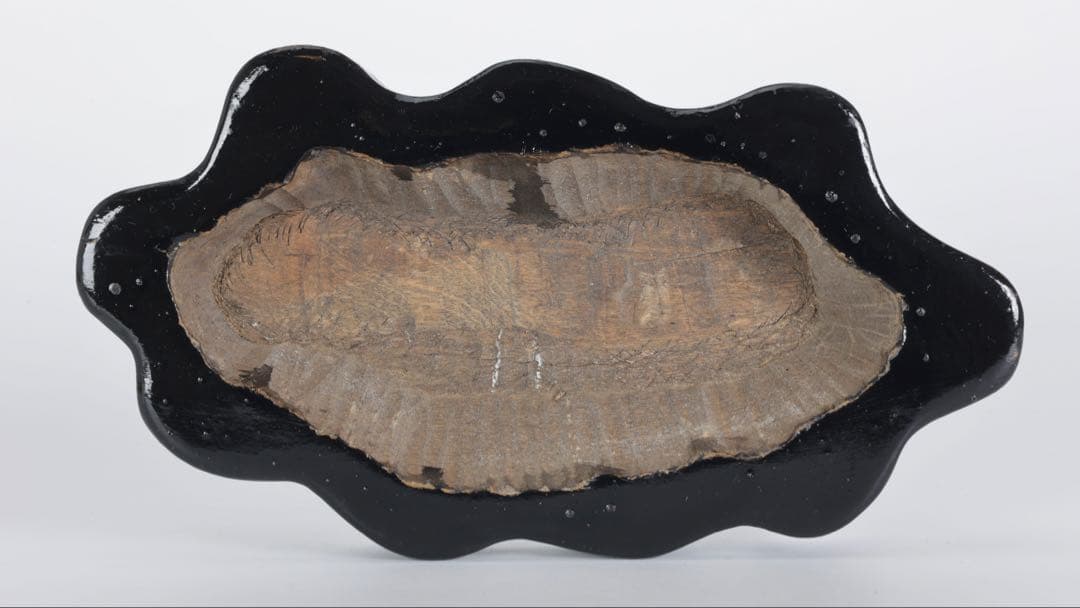 木化石 珪化木 白蛇石 蛇紋石 龍紋石 台座付 4.7kg 天然石 水石 盆石