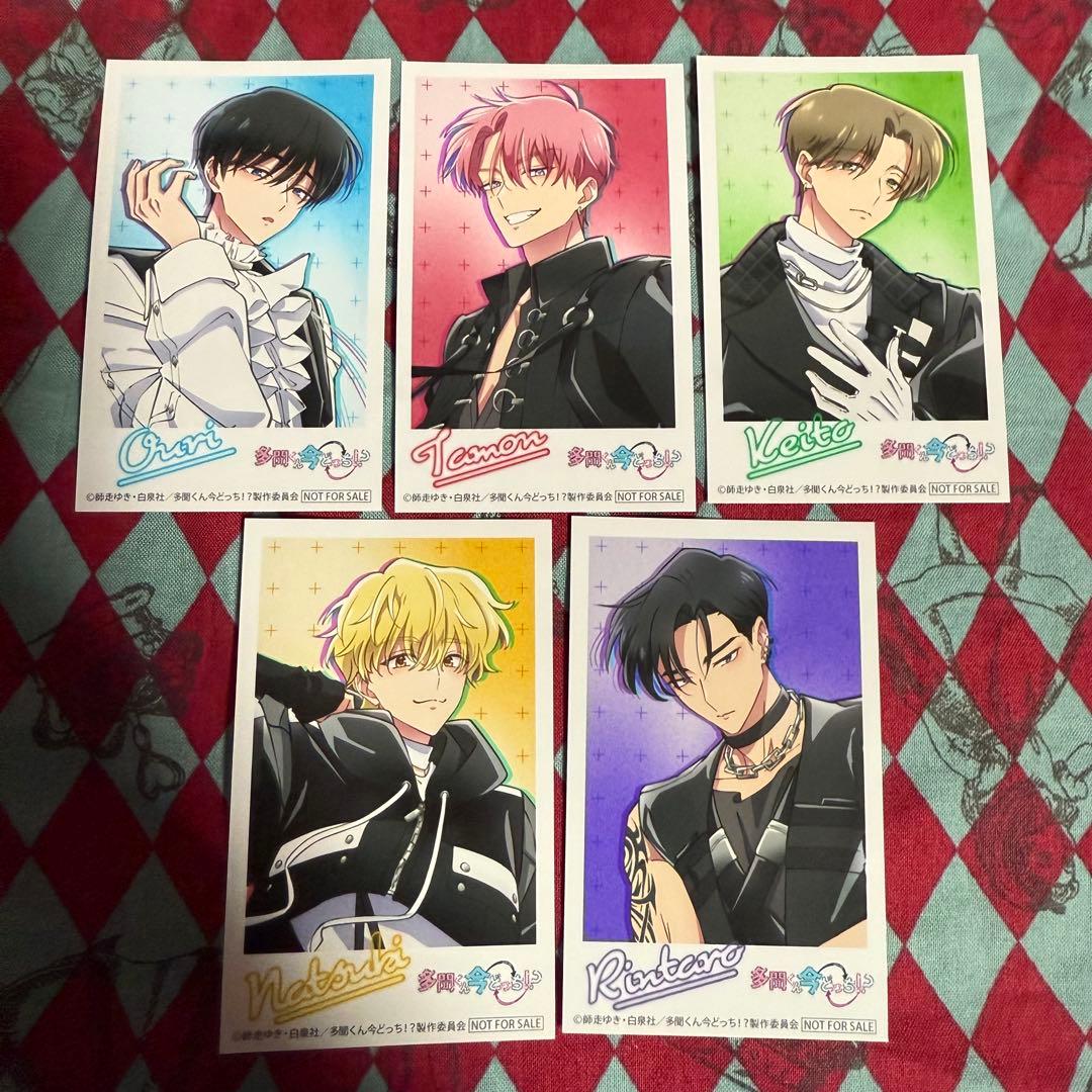 多聞くん今どっち⁉︎ F/ACE CD 特典 ミニフォトセット ⑤ - メルカリ