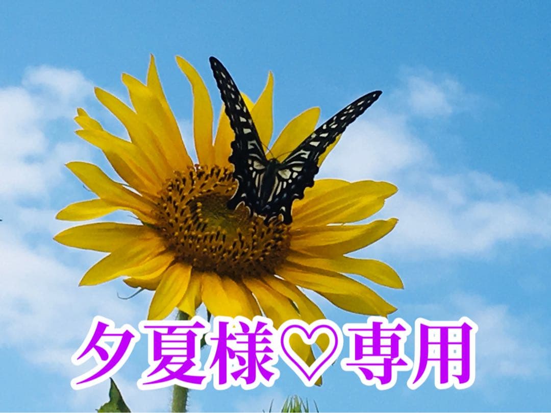 夕夏様❤️おまとめ専用ページです。3/5まで♡ - メルカリ
