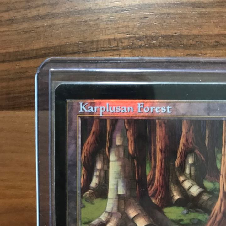 Foil】カープルーザンの森 英語 7th MTG