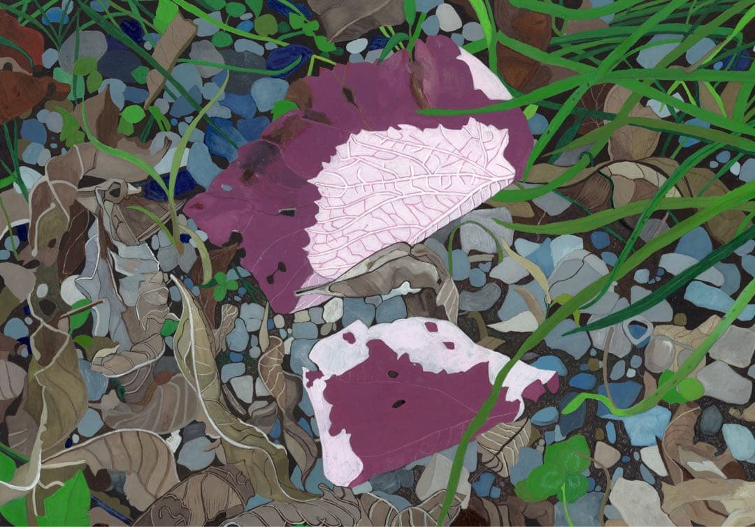 《送料無料》原画「花びら」イラスト
