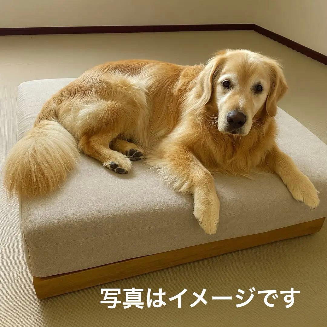 1.5人用 ローソファー 未使用級 オットマン付 80×80 木製ベース - メルカリ