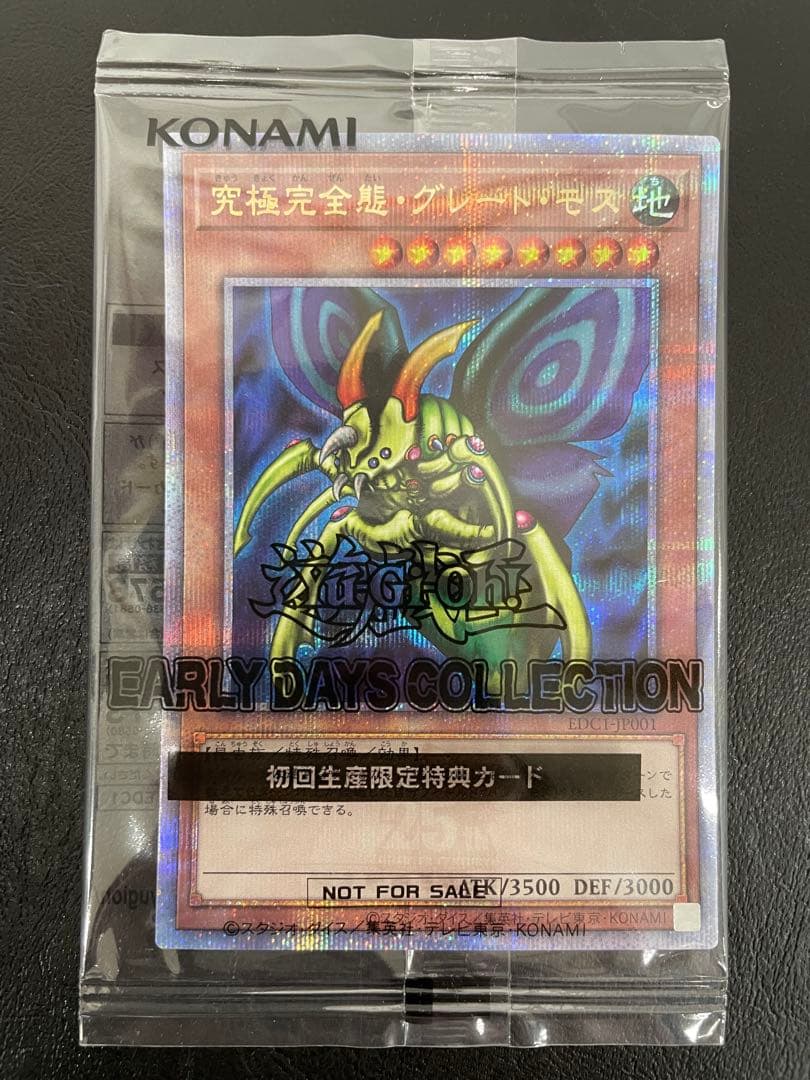 カ*ア様 kncard73-1248 ホーリーナイトドラゴン 究極完全態・グレー