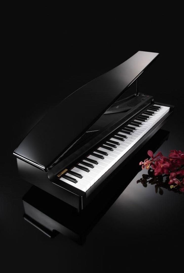 KORG マイクロピアノ Amazon | KORG MICROPIANO マイクロピアノ ミニ鍵盤61鍵 ブラック 61曲