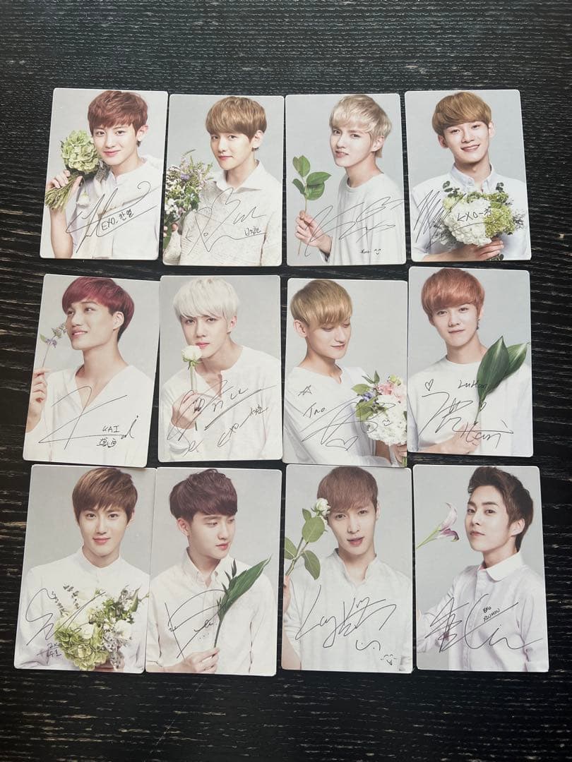【新品未使用】nature republic EXO トレカ12枚セット EXO セフン NATURE REPUBLIC トレカ - メルカリ