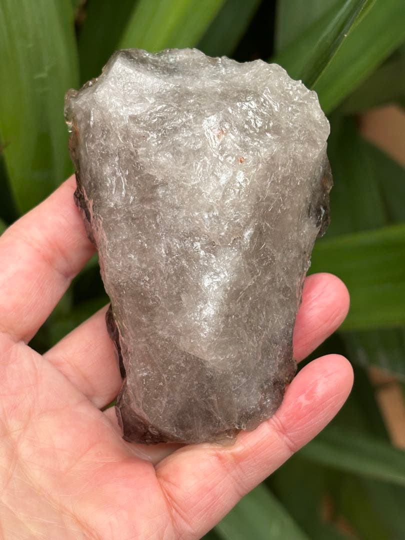ブラジル産 ジャカレー水晶 ワニ水晶 エレスチャル 303g かっこいい