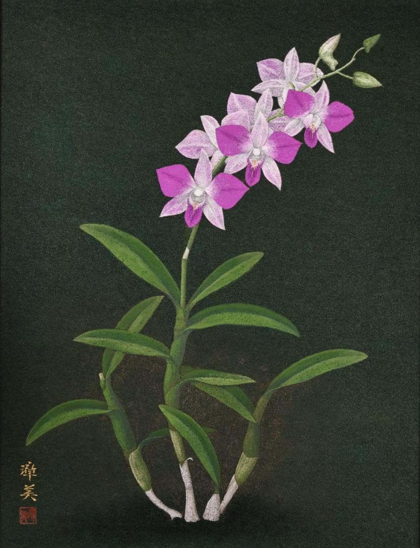 池内璋美 「 蘭花 」 10号 岩彩画 共シール タトウ 黄袋 BK60 - メルカリ