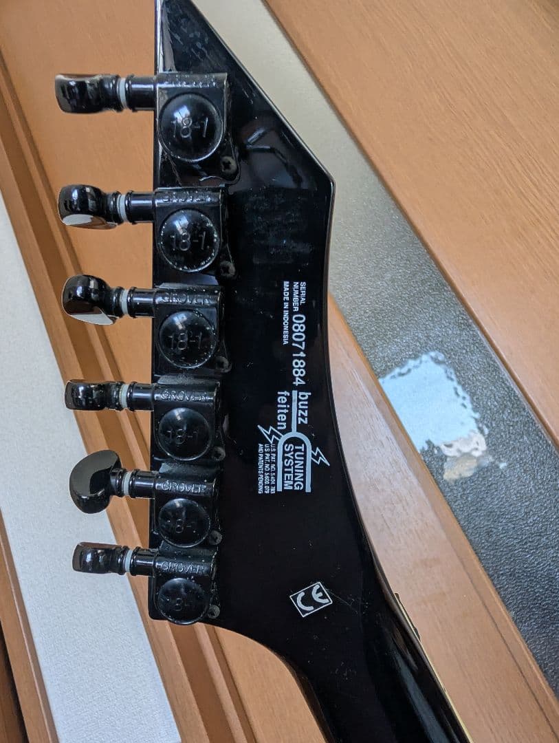 washburn wm24v/zoom G1K/DS-2/TDS-1
