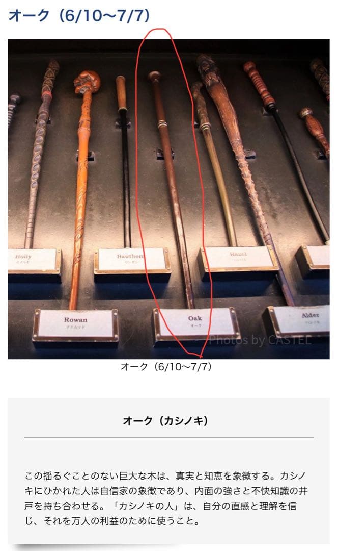 廃盤 USJ ハリーポッター オリバンダー マジカルワンド オークの杖