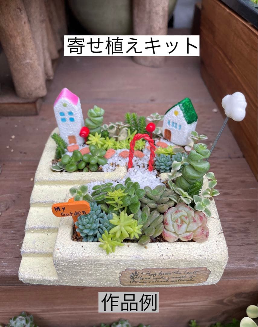 寄せ植えキット【モルタル鉢 ハウス ガーデン雑貨 セダム 培養土付
