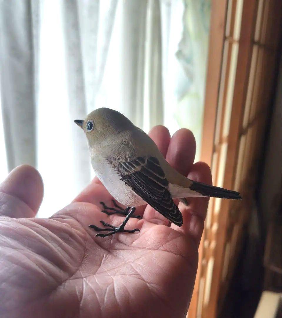 小さなバードカービング ニシオジロビタキ 野鳥 木彫り - メルカリ
