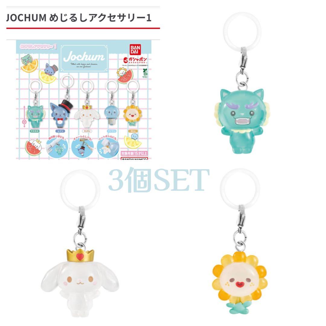 JOCHUM ジェオチャム めじるしアクセサリー 3個セット - メルカリ