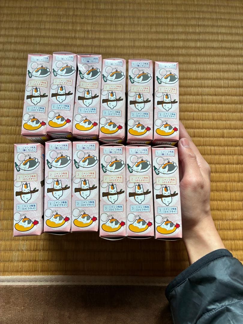 ニャンコ先生湯けむりコレクション本体セットと夏目友人帳ベジタブル