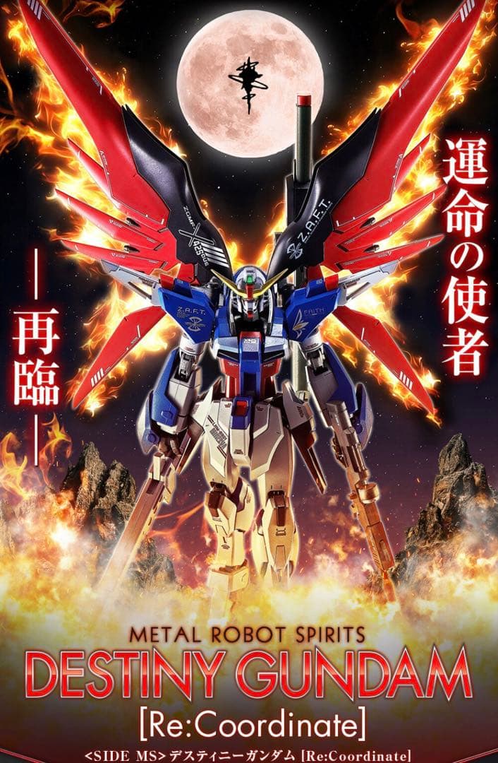 L ROBOT魂 デスティニーガンダム エフェクトセット METAL ROBOT魂 ＜SIDE MS＞ デスティニーガンダム［Re:Coordinate