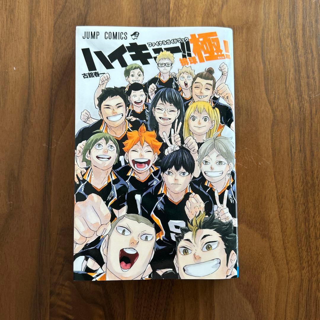 ハイキュー!! 終わりと始まり 画集 ガイドブック まとめ売り イラスト