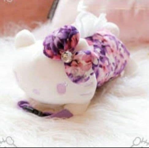Rady キティちゃん 本日発売のHello KittyロンT🎀 Radyロゴとキティちゃんが 可愛すぎなー