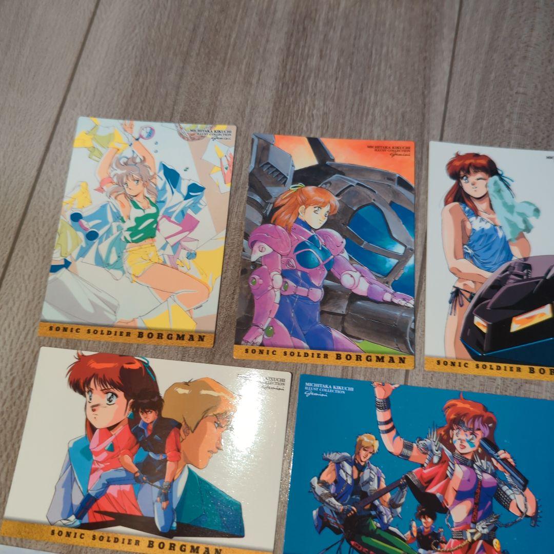 □ ボーグマン アニス アニスファーム 関連カード まとめ売り トレカ