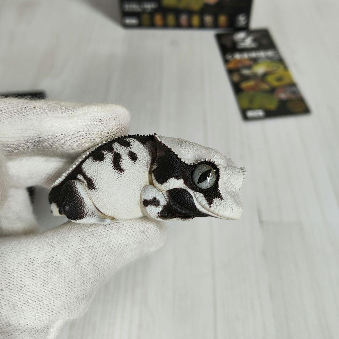 動物の惑星】スーパーレア!韓国限定リリー&150体限定カエル!! フィギュア