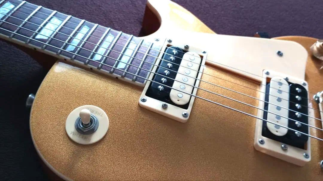 Bacchus レスポール BLP-STD 1957 GT 限定 極美品 - メルカリ