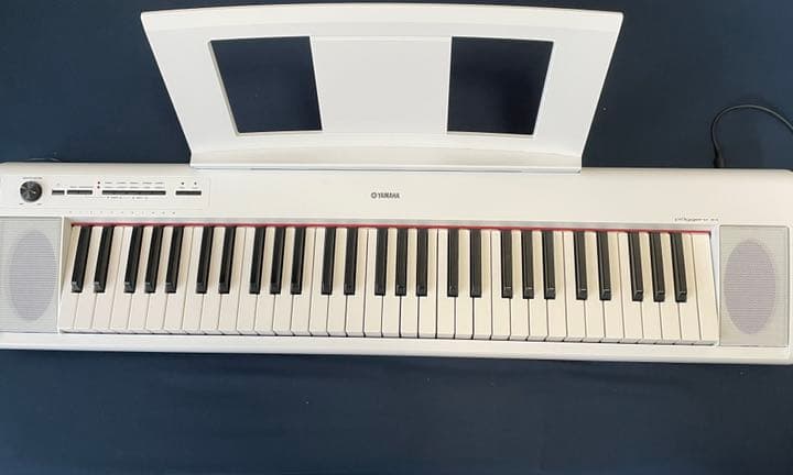 Amazon.co.jp: Roland ローランド/JUNO-DS61【 キーボードベンチ