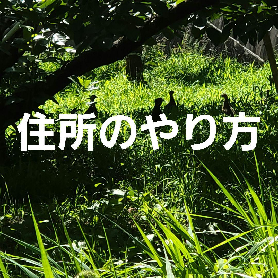 住所のやり方 居住地・住所変更をしたい – シェアフル