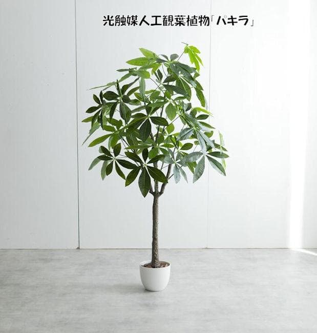 光触媒 人工観葉植物 パキラ 高さ150cm 大型 フェイクグリーン（196