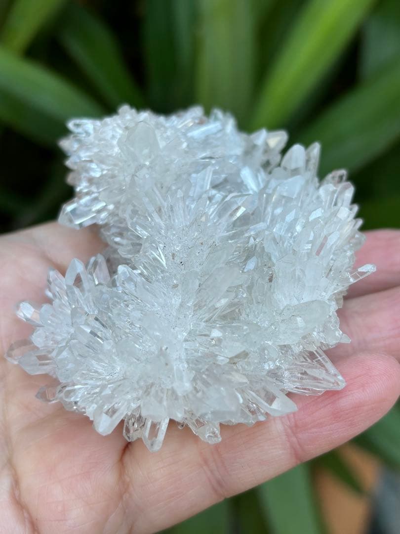 中国四川省産 本物 菊花水晶クラスター 193g 透明 光沢 天然石 - メルカリ