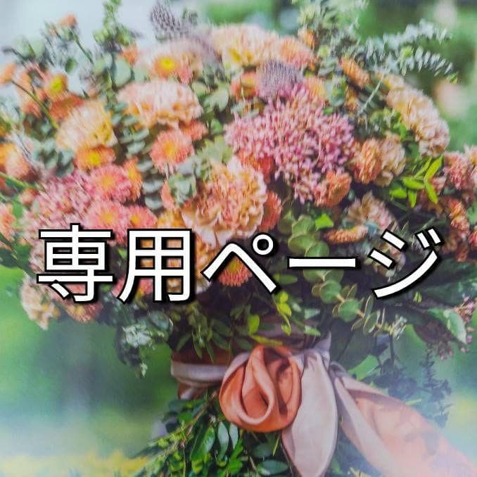 けい(感謝)/3 SONA JP || HITACHI ZX225US-3