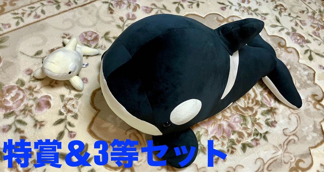 名古屋港水族館 特賞の黒と3等の白セット シャチ Amazon.co.jp: 名古屋港水族館 ぬいぐるみくじ 白シャチ 黒シャチ