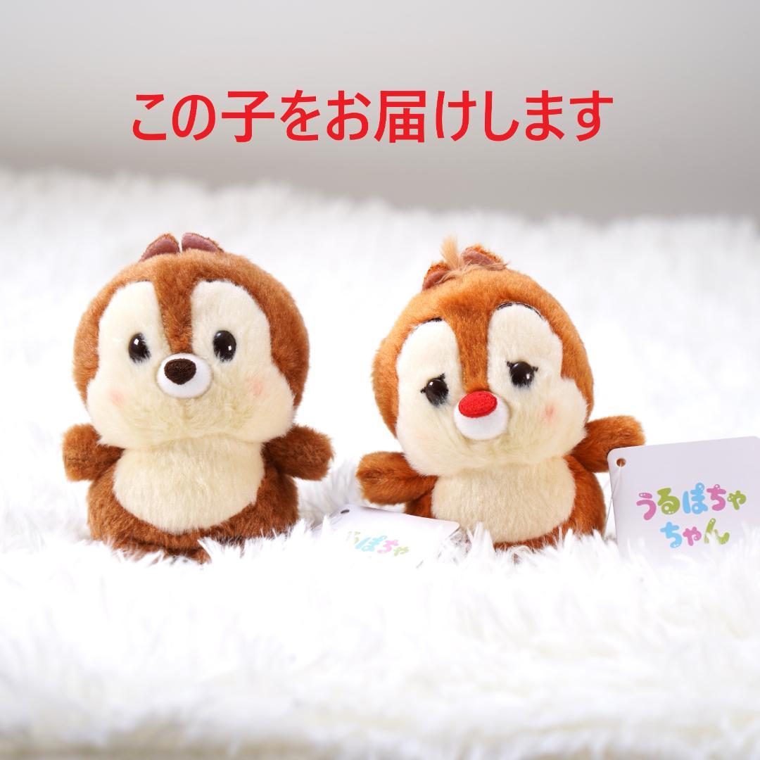 チップ＆デール ぬいぐるみ うるぽちゃちゃん タグ付き - メルカリ