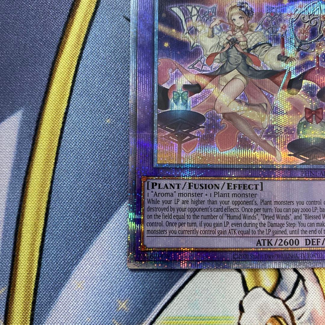 遊戯王 泰亜版 英語 アジア アロマリリス－マグノリア 25th クオシク